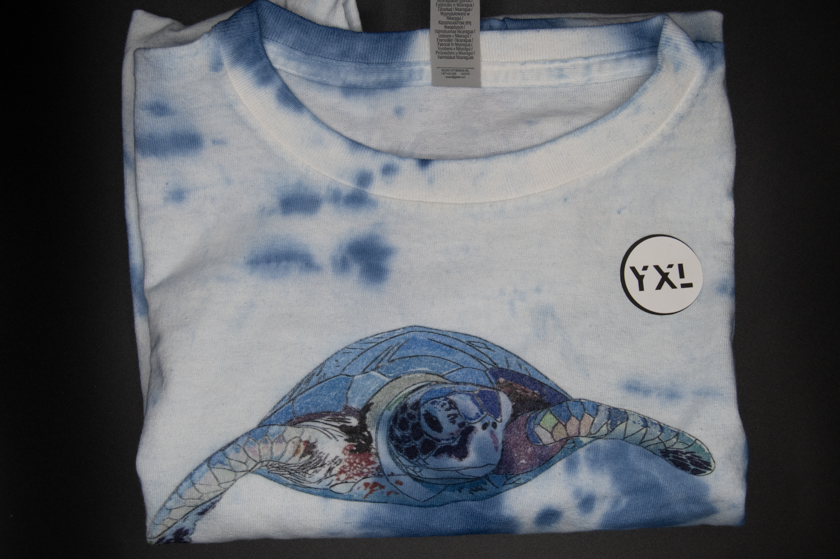 [1] - Turtle (TD) Youth Tee -- (Blue; YXL) Hypnotik Bay Area