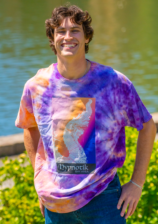 Dragon (Rainbow) Tee -- (Orange/Purple; XL)